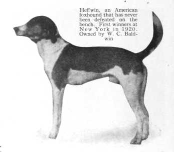 Heffwin (~1920)