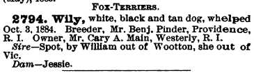Wily (1884) AKR 002794
