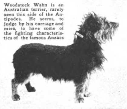 Woodstock Wahn (~1918)