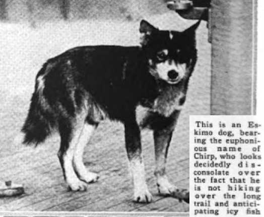 Chirp (~1918)