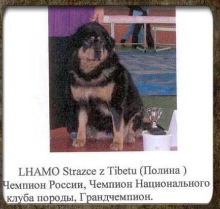 LHAMO STRAZCE Z TIBETU