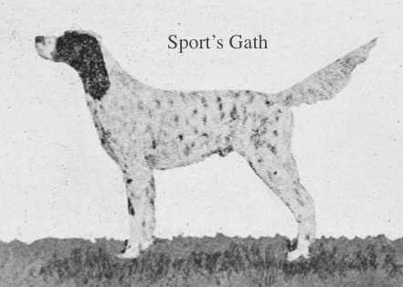 Sport's Gath (Marie's Sport x Mark's Fleet