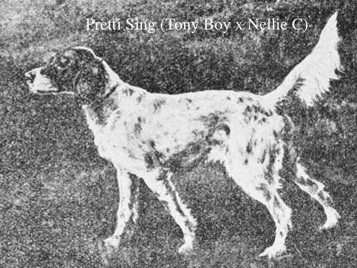 Pretti Sing (Tony Boy x Nellie C)