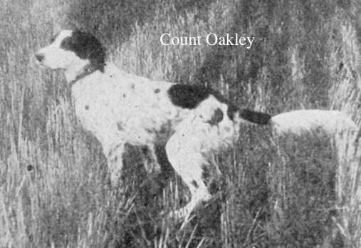 Count Oakley