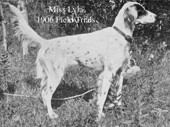 Miss Lyla