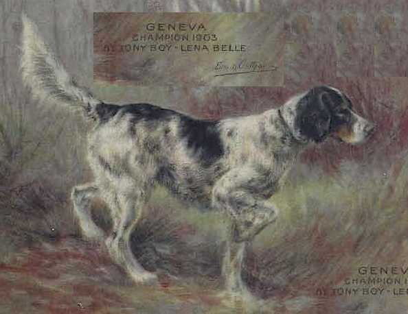 Geneva (Tony Boy x Lena Belle)