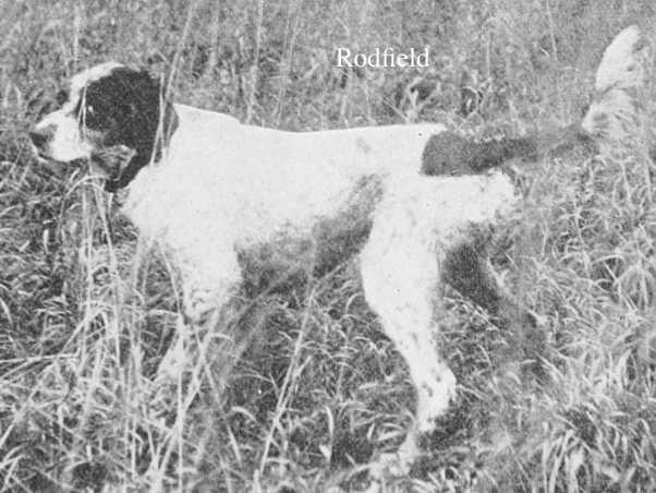 Rodfield