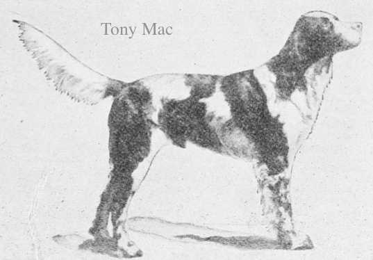 Tony Mac