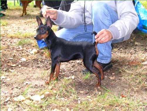 FABIA Pocahontas