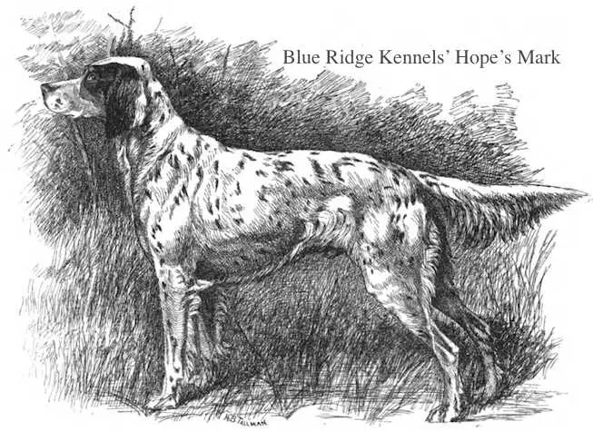 Hope's Mark (Blue Ridge Kennels) (~1891)