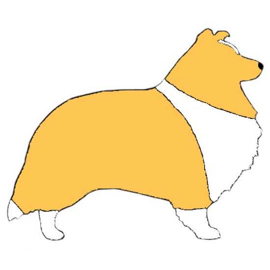 Memus Csardas