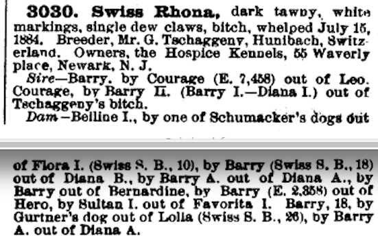 Swiss Rhona (003030)