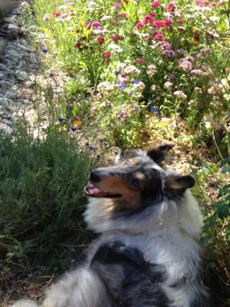 Gretta