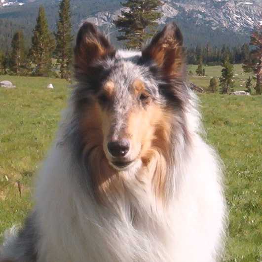 Sierra