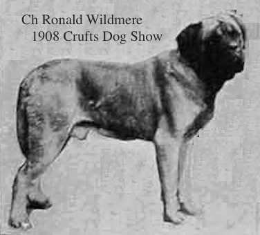 Ronald Wildmere