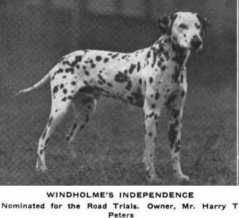 Windhome's Independence