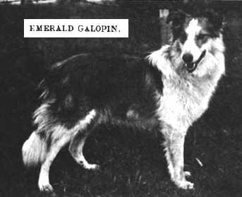 Emerald Galopin