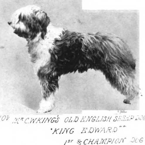King Edward