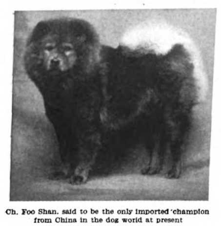 Foo Shan 171474 (~1911)