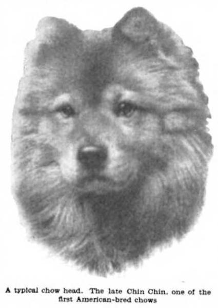 Chin Chin (1909) 140675