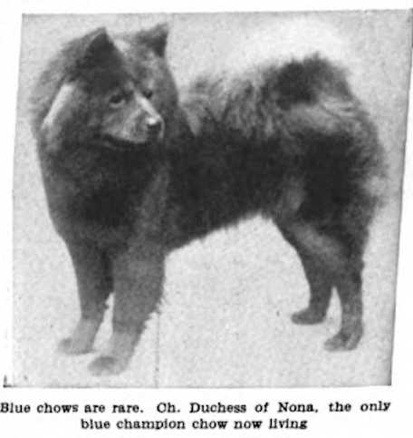 Duchess of Nona (~1911)