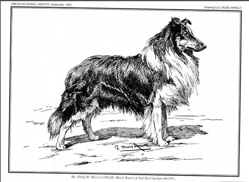 Black Watch of Ard-Na-Clachan