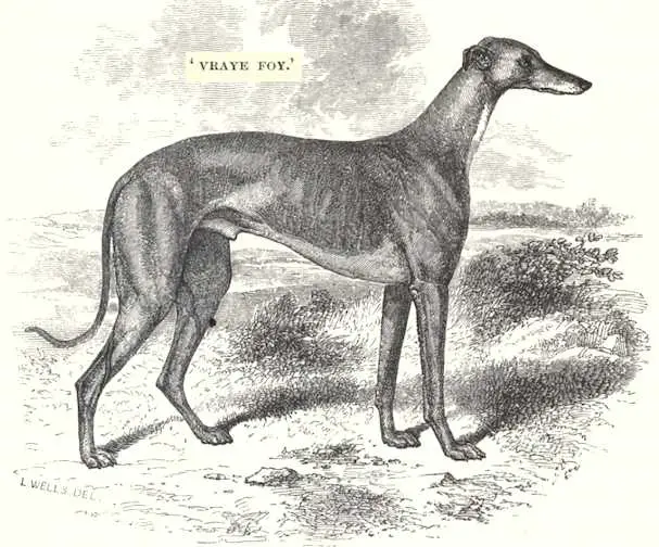 Vraye Foy (1845) [Sir James Boswell's]