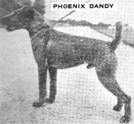 Phoenix Dandy (~1920s)