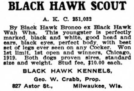 Black Hawk Scout (251032)