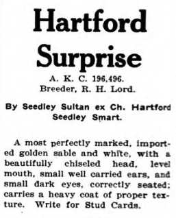 Hartford Surprise (196496)