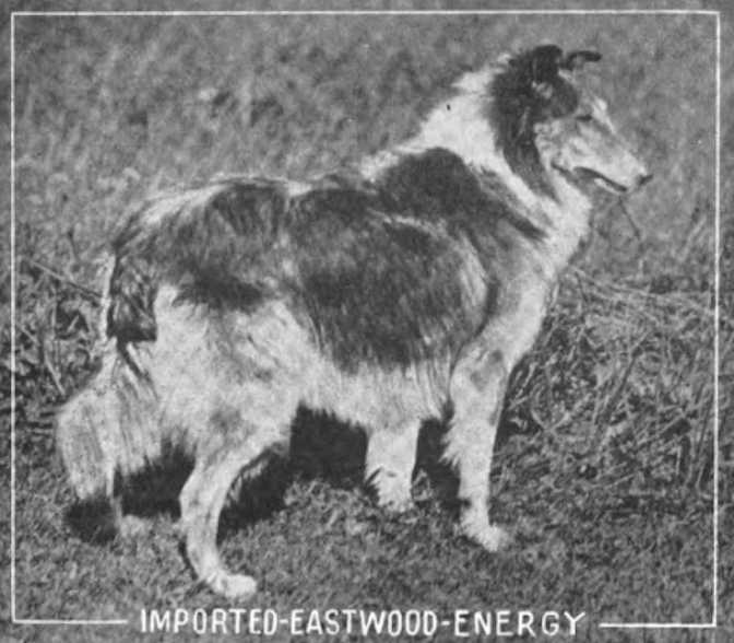 Eastwood Energy