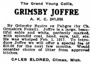 Grimsby Joffre (241035)