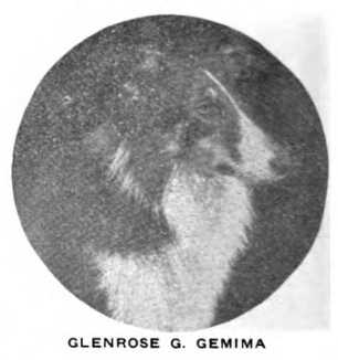Glenrose G Germina (247214)