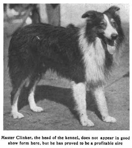 Master Clinker