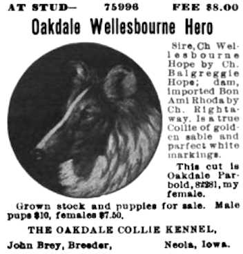 Oakdale Wellesbourne Hero