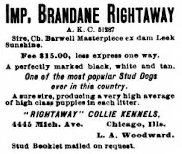 Brandane Rightaway (051287)