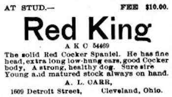 Red King (054469)