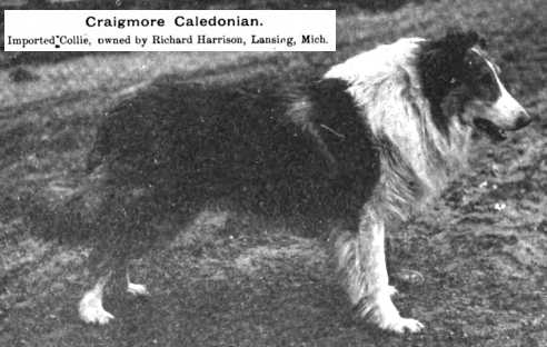 Craigmore Caledonian