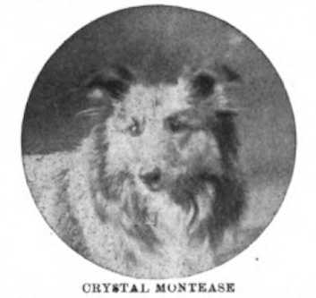Crystal Montease (085245)