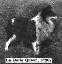 La Belle Queen (067308)