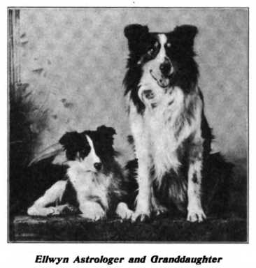 Ellwyn Astrologer 059455 vXVIII