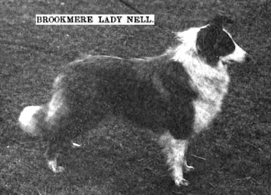 Brookmere Lady Nell
