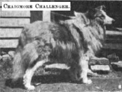 Craigmore Challenger 078954 vXXI