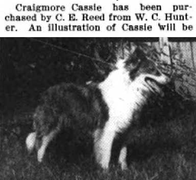 Craigmore Cassie
