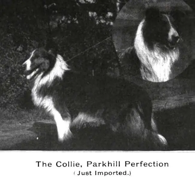 Parkhill Perfection