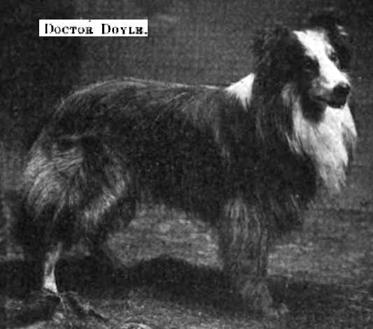 Doctor Doyle