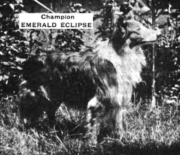 Emerald Eclipse (059670)