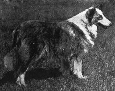 Cragsmere Conqueress