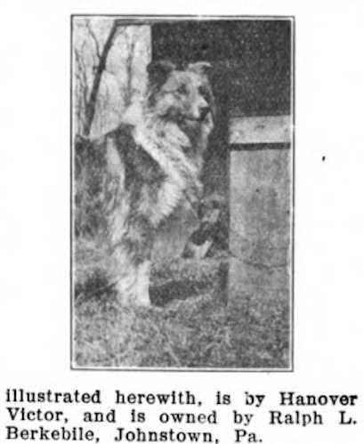 Hanover Victor