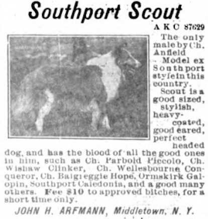 Southport Scout (087629)